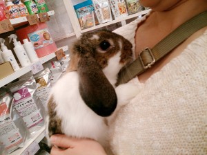 モフ0419-1