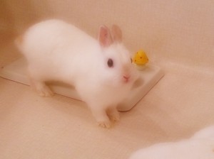 そら0404