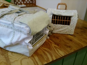 Camera360写真シェア (3)