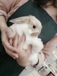 多田もんちゃん