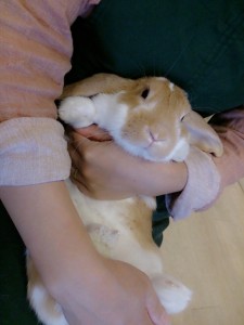 モカ1
