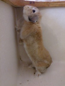 るっと2