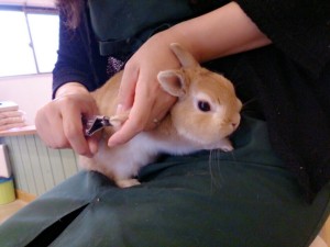 みな1