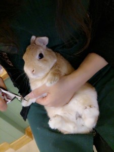 みな
