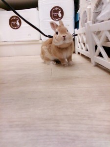 みな0531