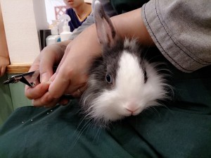 Camera360写真シェア