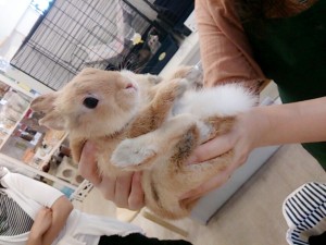 ゆず0524-1