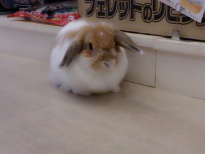 わか0628