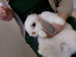 ちゃま0620-1