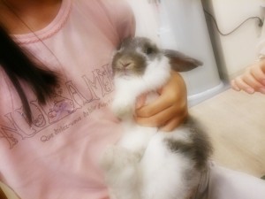 プリン0614