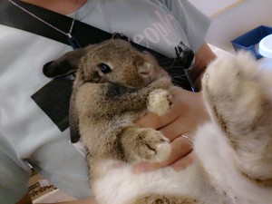 ドロシー0621