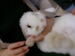 ちゃま0620