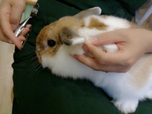わか0628-1