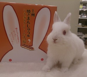 C360_2016-03-06-20-14-13-275