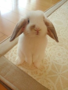 8287cd39-5074-4193-bc81-48594fc56d45