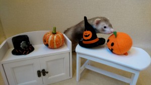 9-27%ef%bd%bd%ef%be%80%ef%bd%b0%ef%be%98%ef%be%9d%ef%bd%b8%ef%be%9e%ef%bd%be%ef%bd%b0%ef%be%8c%ef%be%9e%ef%be%99%ef%bc%92