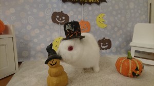 %e3%81%8f%e3%82%89%e3%82%93%e3%81%b9%e3%82%8a%e3%83%bc