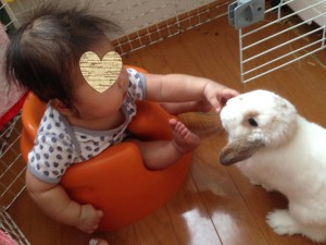 %e3%81%bf%e3%81%8b%e3%82%93%e3%81%a1%e3%82%83%e3%82%93