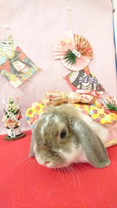 %e3%81%8d%e3%81%aa%e3%81%93%e3%81%a1%e3%82%83%e3%82%93