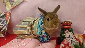 %e3%82%b7%e3%82%a7%e3%83%aa