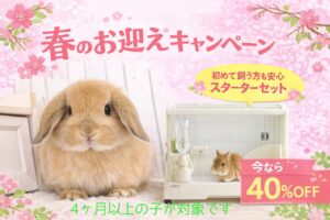 お迎えキャンペーン